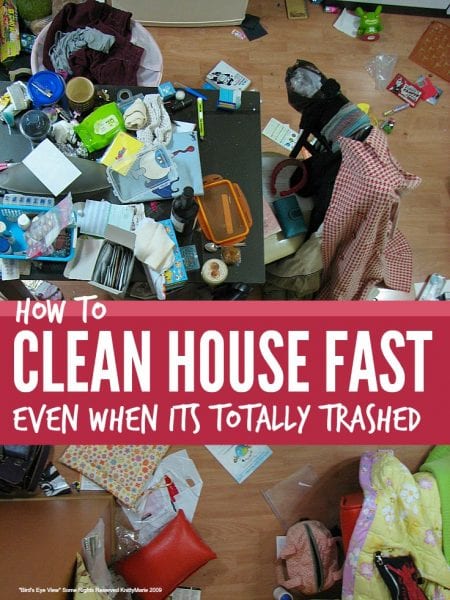 CleanHouseFast2