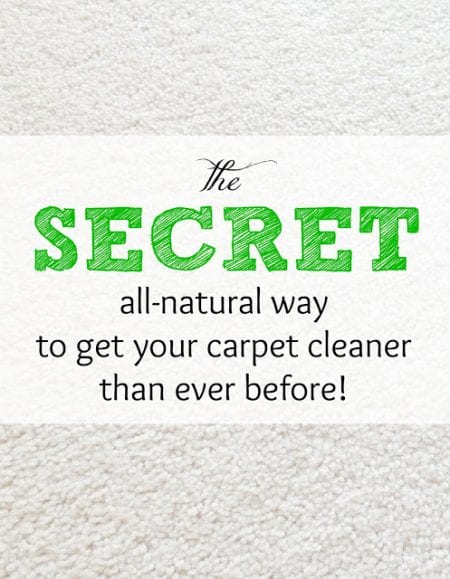 How To Clean Carpet