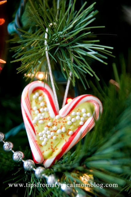 19 Diy Edible Christmas Ornaments Tips From A Typical Mom Remodelaholic