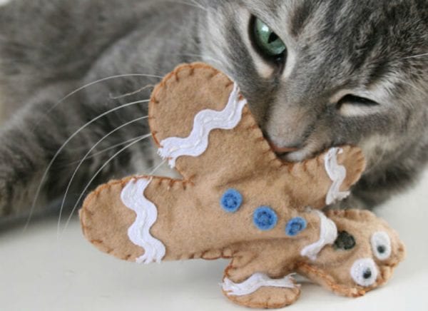 Feature Image 12 Diy Christmas Gifts For Pets Remodelaholic