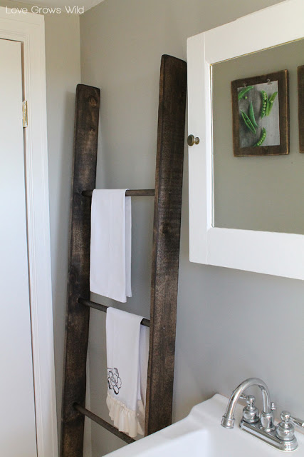 Bathroom Project Love Grows Wild