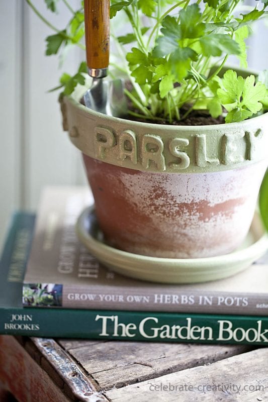 DIY Plant Pots Celebrate Creativity