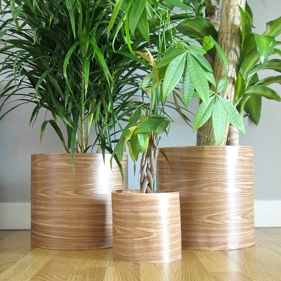 DIY Plant Pots Two Plus Cute