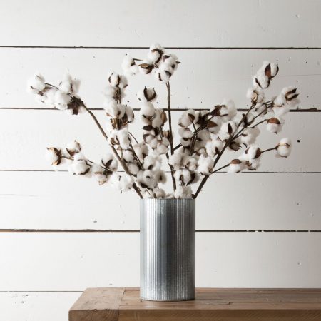 Florals Product Magnolia 1 Of 4 1024x1024 450x450