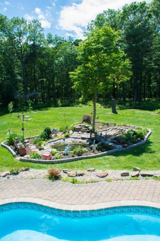 Pond Final 047