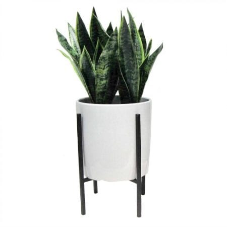 Bold Wallpaper Decor Tips, Artificial Plant