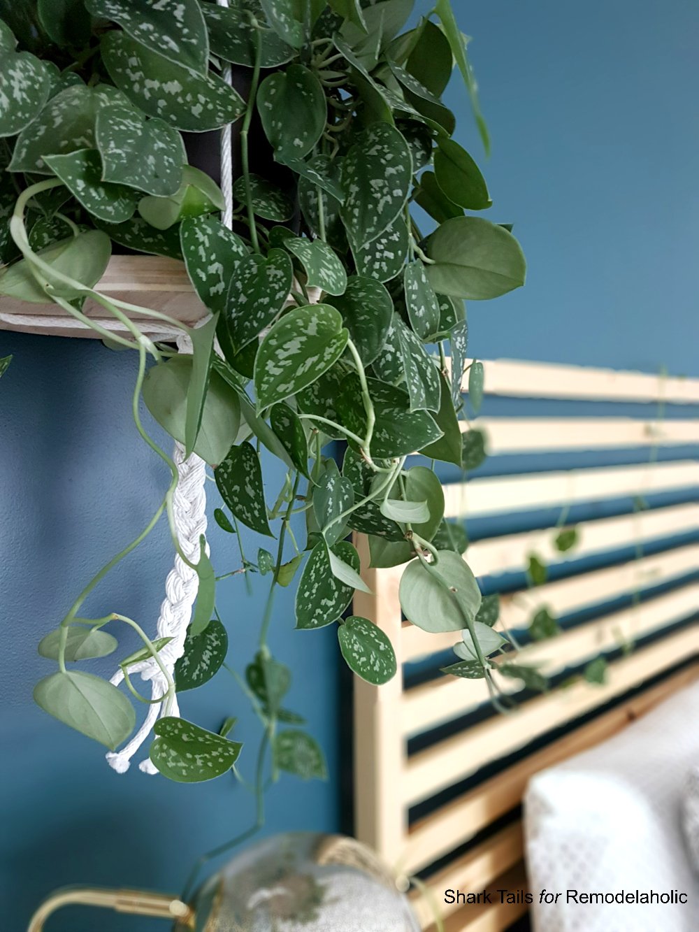 The Easiest DIY Hanging Planter in the World Remodelaholic