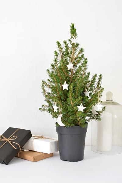 Diy Clay Christmas Tree Ornaments