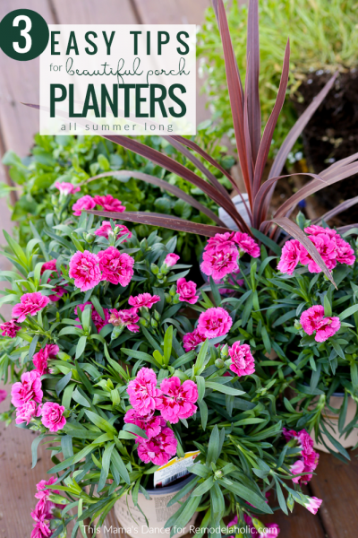 How To Create Beautiful Outdoor Pots and Planters | Remodelaholic