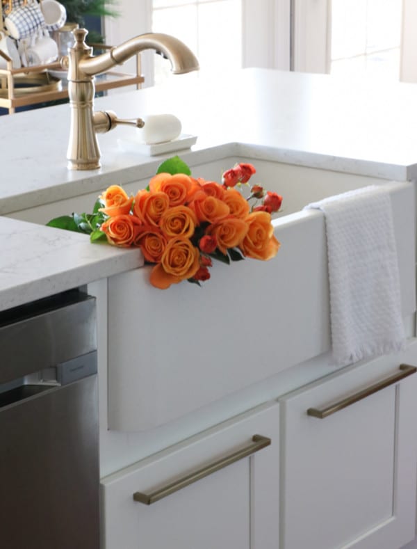 BLANCO IKON APRON SINK FARMHOUSE 4 Sincerely Sara D