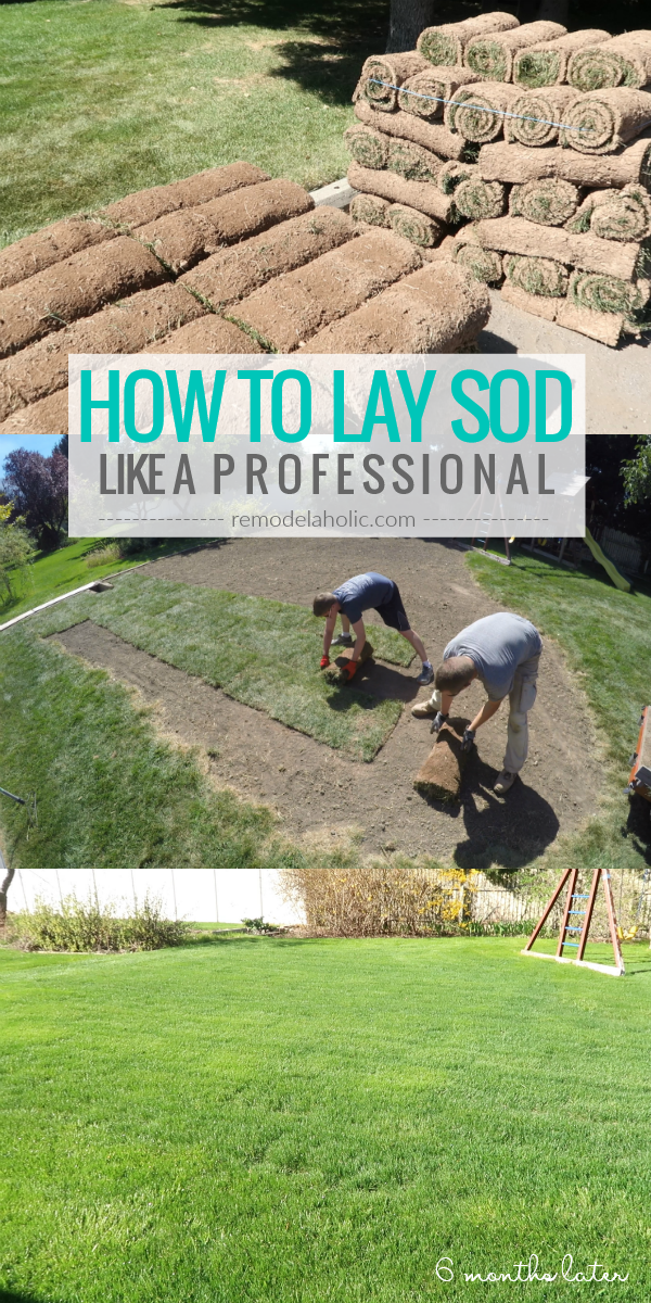 Pro Tips for DIY Sod Installation Remodelaholic
