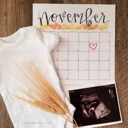 Printable Pregnancy Announcement Ideas & Pregnancy Milestone Cards ...