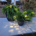 DIY Faux Potted Outdoor Plants With Solar Lights
