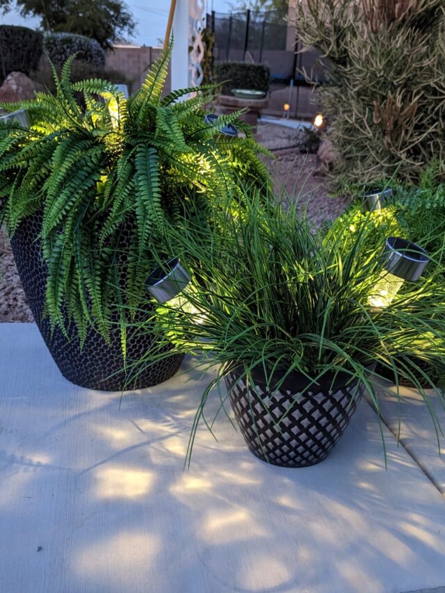 DIY Faux Potted Outdoor Plants With Solar Lights