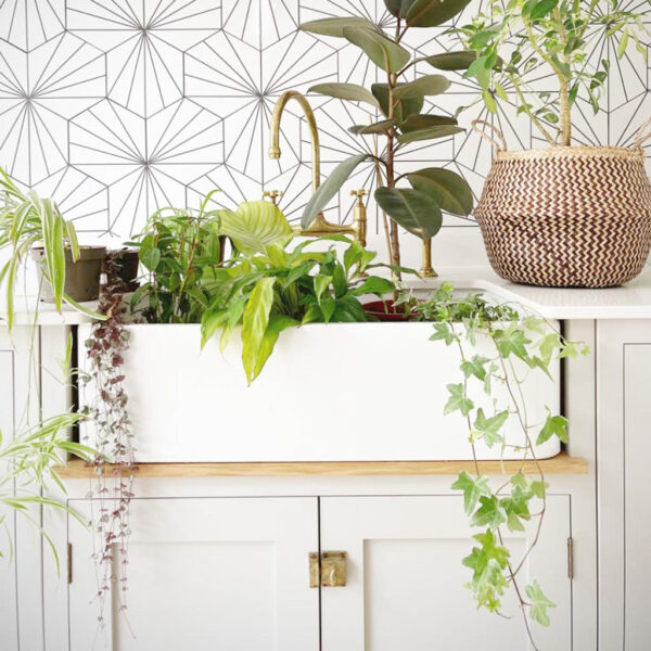 Ways To Bring Biophilic Design Into Your Home Featured