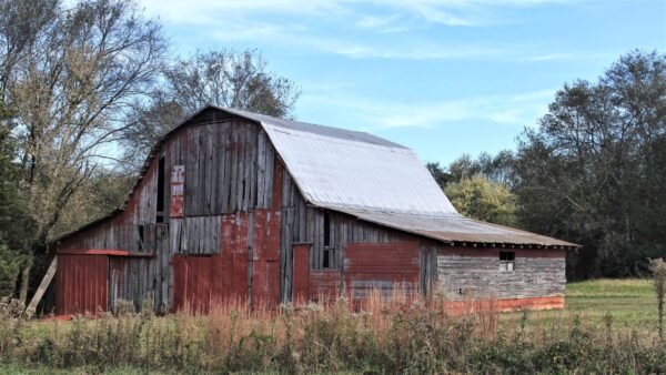 Old Barn Wood
