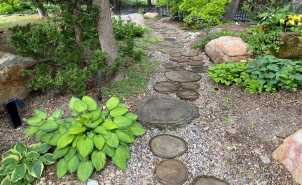 DIY garden path using tree slice stepping stones