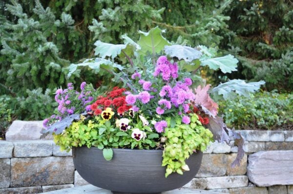 Planter