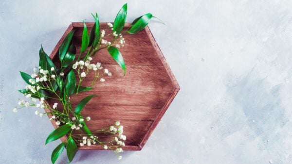 Hexagon Tray