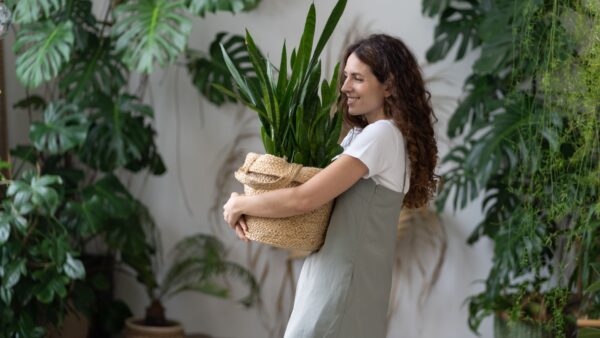 Woman Carrying Houseplant